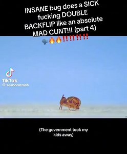 Does a SICK INSANE bug fucking DOUBLE an absolute BACKFLIP like MAD CUNT!!! (part 4) Tik ES (The government took my kids away) - iFunny