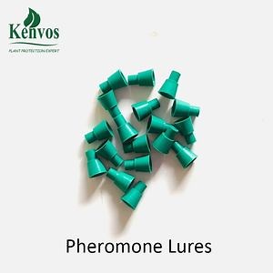 [Hot Item] Beet Armyworm (Spodoptera exigua) Pheromone Lure & Insect Pest Trap