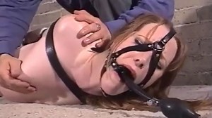 Darby Bondage Devonshire (Devon Shire)