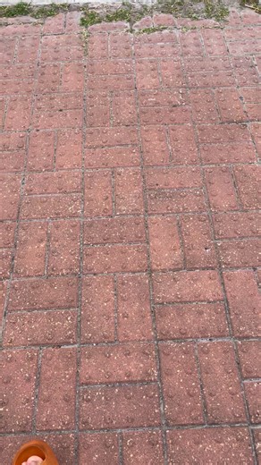 People not stop 😞 | Bill and Annabel Butler