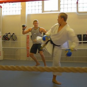Can this Karate Fighter Win Against a UFC Pro? | Level Fitness