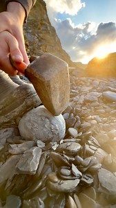 We came across a rounded, Jurassic golden rock on a recent beach walk and opened it to reveal multiple Eleganticeras Ammonite fossils and fools gold! 🏝🌊 The surrounding shale is soft and is easily broken away 😍🦑 These ammonites are 180/190 Million Years Old 💀🏝 Thank you for supporting our page! 🐊 #natural #nature #fossil #fossils #ancient #animals #art #ammonite #ammonites #dinosaur #scientist #minerals #paleontology #whitby #geologist #dorset #geology #charmouth #jurassic #yorkshire #bea