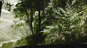 Ola! Our famous Flame Grilled Portuguese Chicken is now near you with our newest store NOW GRILLING in Waterloo! 🔥🔥 Experience our authentic Portuguese flavours now at Waterloo! 😋😋 | Oporto