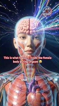 What Happens Inside Your Body During a Female Orgasm? | 3D Medical Animation