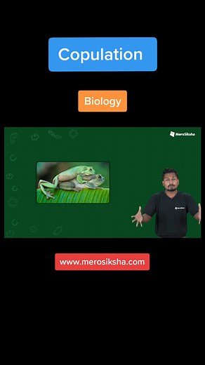 Understanding Copulation in Biology | MeroSiksha Video Lesson