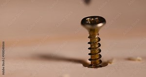 golden self-tapping screws for installation and construction work with wood, yellow metal self-tapping screws for fixing wooden boards and other wood products