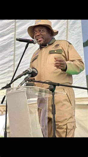 Certified MC Senior Bull Black Angus Grand Champion Of The Yard | Comfort Exotic Ramatebele