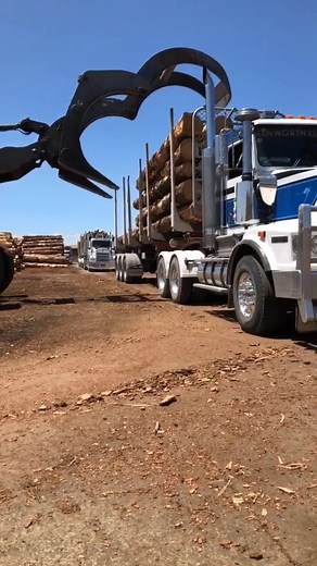 #kenworth #logging #trucker #truckielife #wheelloader