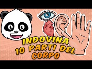 👀💪 Scopri le Meraviglie del Nostro Corpo: Gioco delle Parti del Corpo con 🧠 Pandolo! 🐼