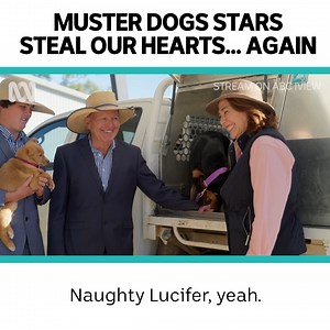Frank Finger for MVP 🎖 Muster Dogs Where Are They Now — Stream now on ABC iview or Sundays 7.30pm on ABC TV: https://ab.co/MusterDogsWhereAreTheyNow | Muster Dogs