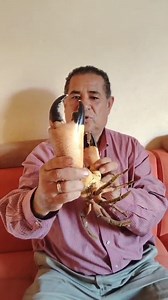 3.4K views · 13 reactions | En Huaquillas. Cangrejo Buey o Cangrejo...