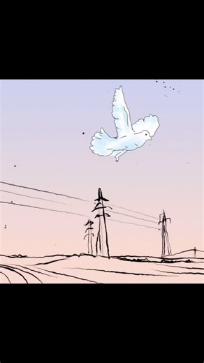 6K views · 226 reactions | Sharon Corr on Reels | Facebook