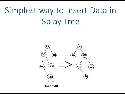 Insertion of Data in Splay Tree