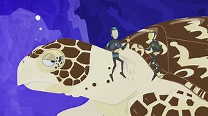Wild Kratts - Turtle-Backed Tour of the Reef Video | PBS KIDS