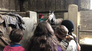 Helen of Whyte Equine Dentistry giving a demonstration to campers today about horse dentistry 😊 | Bantry Bay Pony Trekking