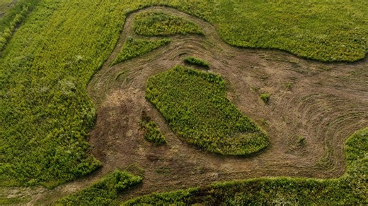 Secor Habitat Expansion Metroparks and Western Reserve Land Conservancy announced a partnership in 2019 to conserve 229 acres of land adjacent to Secor Metropark that had been used as a golf course. The purpose was to expand Secor's natural habitats, including wet prairies, which are vital to sustain sandhill cranes and other wildlife. An additional 30-acre tract of forested land adjacent to the former golf course was added in 2022, expanding Secor to 867 acres. To read the full story visit Metr