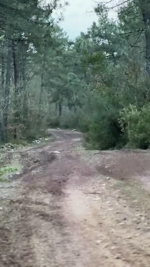 Polaris Scrambler Xp 1000S . . #atv #offroad #atvlife #atvadventure #mudlife #dirtriding #quadlife #atvracing #extremesport #offroadaddict #polarisscrambler #scrambleratv #scrambler1000 #polarisatv #polarislife #polarisrider #scramblernation #extremeatv #powersports #adrenalinerush | Mert Güven