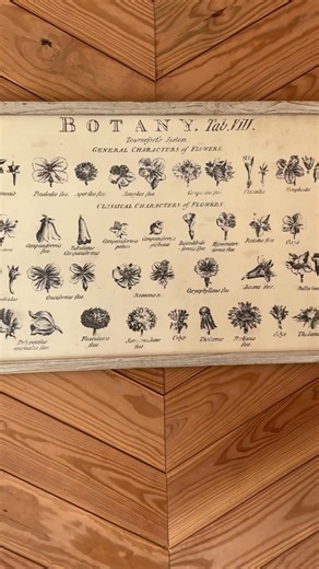 1.2K views · 39 reactions | Baby Shower Set Up!!! ❤️❤️❤️ | Joshua Mileham | Facebook