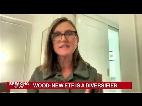 Cathie Wood Says We're Going Through 'Soul-Searching'