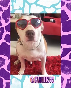 14K views · 246 reactions | Entre outfits y actitud... ¡¡Cuánto estilo en un solo video!! | Nickelodeon en Español | Facebook