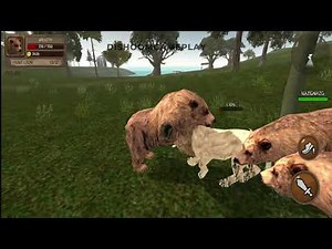 Ultimate Bear Simulator - Bear Vs Lion, Tiger, Bull, Gorilla, Man, Crocodile Android Gameplay #6