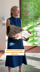 11 reactions | Where does cork come from? (Cork MasterClass:...