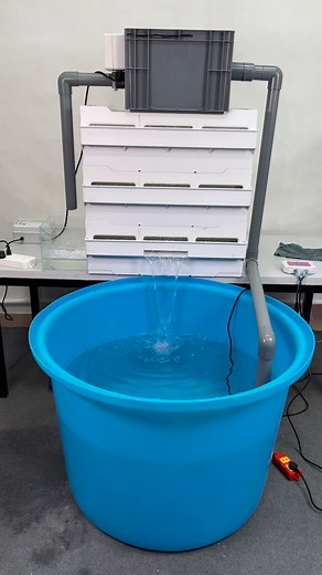 Drumfilter Mini kết hợp Bakki Shower???!!! #drumfilter #locnuochokoi #thietbihokoi #thaihoaaquarium | Cá cảnh Thái Hòa