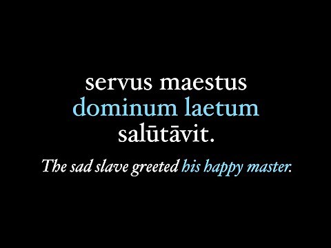 Introduction to the Latin Adjective