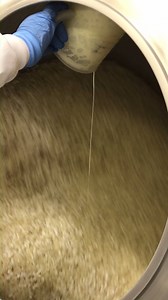 Today, our Vanilla Jelly Belly beans are getting their outer shell and spots at the Jelly Belly Factory in California. #jellybelly #behindthescenes | Jelly Belly