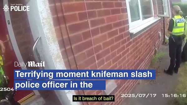 Terrifying moment knifeman slashes police officer in the neck