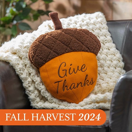 1K views |  Sit back and harvest the compliments (and, the sales!) with our 2024 fall harvest collection; it has everything your shop needs to offer a bountiful selection. Log in to shop now https://bit.ly/46H1zZW ✨ #HarvestDecor #FallFavorites #PumpkinSeason #GourdGalore #AcornAdoration #AutumnDecor #SeasonalSplendor  | Evergreen Enterprises | Facebook