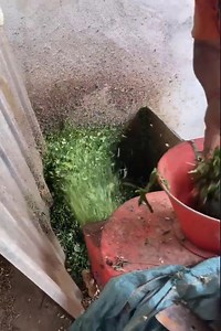 NL MEDIA on Reels | Facebook