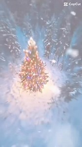 Barbarian Boerboels on Reels | Facebook