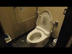 弘前公園 鷹丘橋前トイレ 女子トイレ（青森県・弘前市） ※冬季閉鎖 WC Japanese Toilet