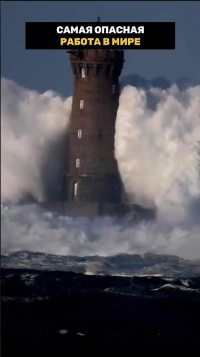 Самая опасная работа в мире #удивительно #познавательное