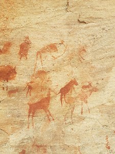南アフリカのドキュメンタリー　Nai:The Story of a !Kung Woman