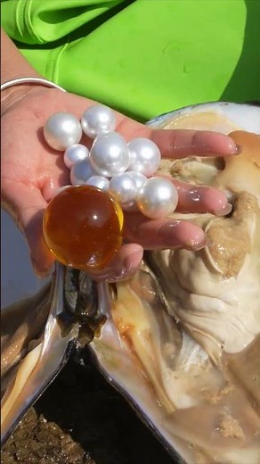 🥰 Outdoor find brings great wealth luck