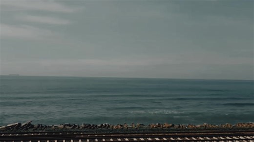 12 reactions | 呂Seafood & Oyster Brunch @ Sundowner呂 #seafoodlover #oysters #srilanka #lka #colomboswimmingclub #colombo #brunch | Colombo Swimming Club | Facebook