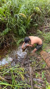 Cari udang untuk umpan pancing 😳😳 #iyanxyz #iyanreels #perangkapikan #udang | Iyan Reels