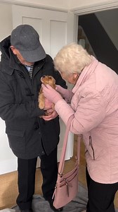 The best day ever🥹🧡🐾 | Cocker spaniel puppies for adoption near me