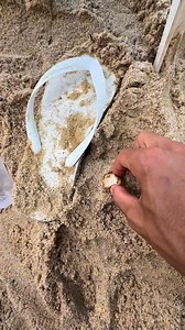 1M views · 7.1K reactions | Eu no meu dia mais romântico | Sander Rangel | Facebook