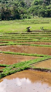 94M views · 275K reactions | WATCH FULL VIDEOS with RESOLUTION 4K IN...