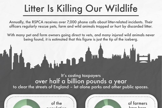 11 Littering Statistics in America