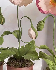 Crepe Paper Icelandic Poppy in Vintage Terracotta Pot - Etsy UK