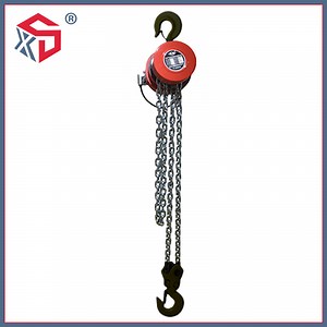 [Hot Item] Invaluable Tool Factory Wholesale 5ton Dhp Electric Chain Hoist