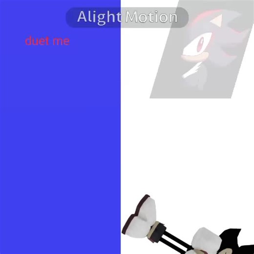 am pooping shadow the hedgehog on TikTok