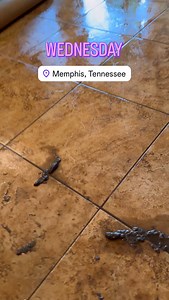 Have you ever used Rejuvenate, mop & glow, orange glo, mop n shine, or any other wax/ polish product on your floors? If so, it needs to come off or it will attract soil and accumulate contaminants to the point of looking ruined, not to mention the sanitary issues. This floor only had Orange Glo applied ONE time 17 years ago, and had looked awful ever since… until we just removed it all and cleaned the tile and grout. Our client hasn’t seen it look so good since the day she moved in almost 2 deca