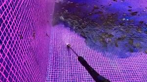 This pool turned into a slimy disaster - and it had to be rebuilt