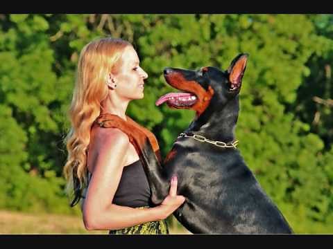SEVERAL Dog owners have SEX WITH THEIR DOG.