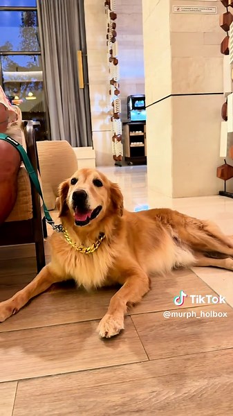 La realidad alterada en Cancún: lujo y comodidad